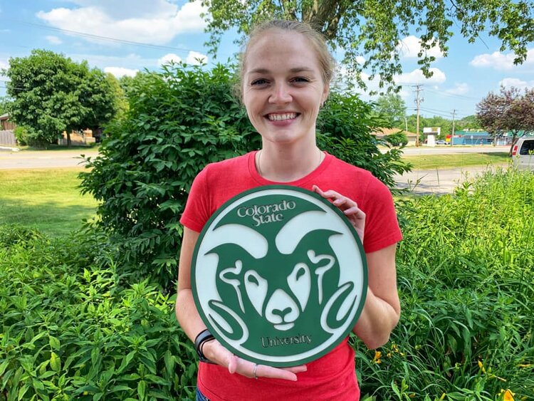 College / University School Sign -Colorado University Logo Only; Handmade Wood